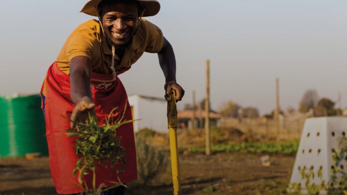 south-africa’s-shoprite-calls-for-action-to-counter-food-insecurity-–-esg-news south-africa’s-shoprite-calls-for-action-to-counter-food-insecurity-–-esg-news