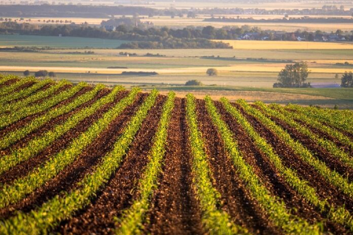 walmart,-general-mills-launch-600,000-acre-regenerative-agriculture-partnership-–-esg-today