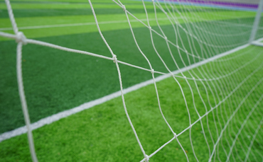 forest-green-rovers-and-ecosia-team-up-to-tackle-deforestation forest-green-rovers-and-ecosia-team-up-to-tackle-deforestation
