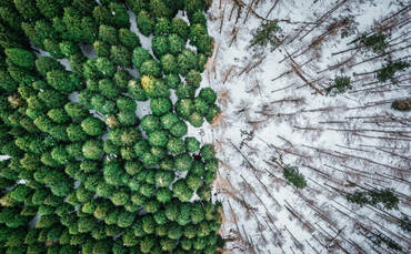 cdp-secures-environmental-disclosures-from-a-record-23,000-companies cdp-secures-environmental-disclosures-from-a-record-23,000-companies