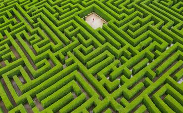 how-should-a-sustainability-elder-show-up?-the-community-weighs-in how-should-a-sustainability-elder-show-up?-the-community-weighs-in