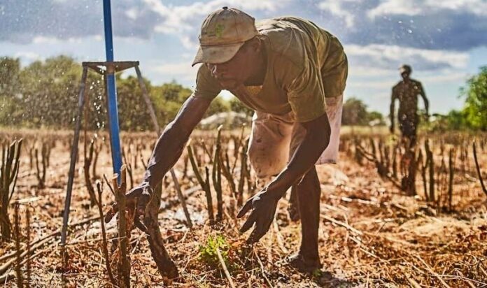 south-pole-cuts-ties-with-zimbabwe-carbon-offset-project-kariba