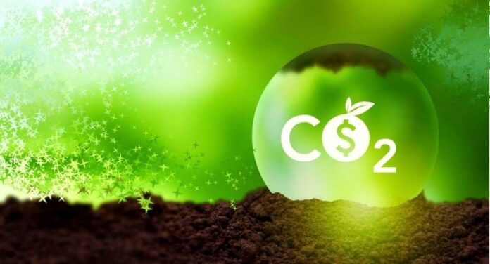 carbon-credits-are-a-key-player-in-closing-carbon-emissions-gap