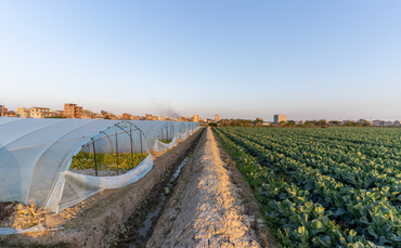un:-hidden-environmental,-health,-and-social-costs-of-world’s-agrifood-system-top-$10tr-a-year un:-hidden-environmental,-health,-and-social-costs-of-world’s-agrifood-system-top-$10tr-a-year