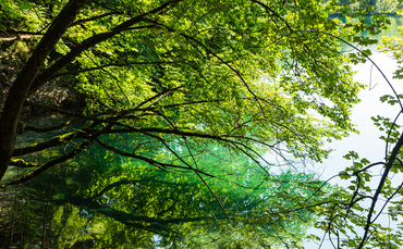 ‘what-would-nature-say?’:-house-of-hackney-becomes-second-firm-to-appoint-‘nature’-to-board ‘what-would-nature-say?’:-house-of-hackney-becomes-second-firm-to-appoint-‘nature’-to-board