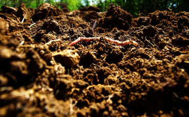 study:-agricultural-soil-can-provide-a-quarter-of-global-carbon-sequestration-budget study:-agricultural-soil-can-provide-a-quarter-of-global-carbon-sequestration-budget