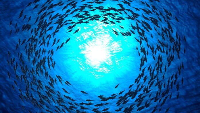 ifc-and-t.-rowe-price-to-launch-blue-bond-strategy-–-esg-clarity