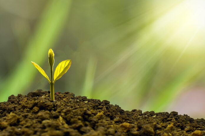 carbon-storage-verification-tech-startup-yard-stick-raises-$12-million-–-esg-today carbon-storage-verification-tech-startup-yard-stick-raises-$12-million-–-esg-today